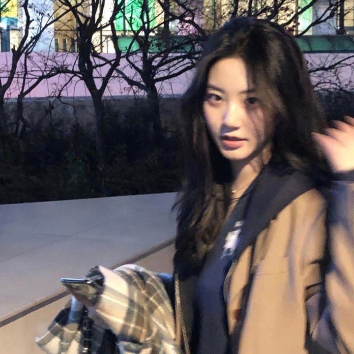 绿头苍蝇 封面
