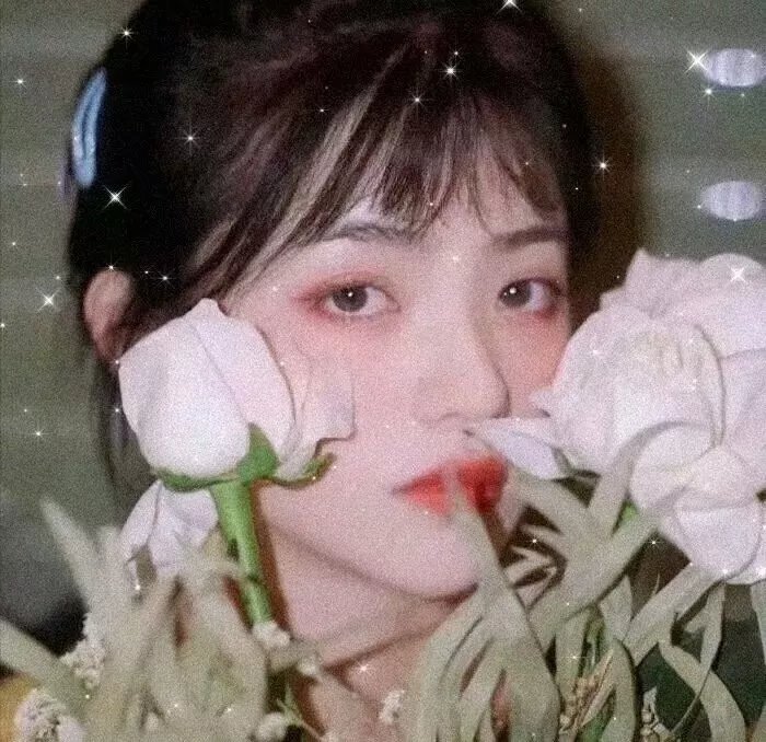 御用闲人粤语 封面